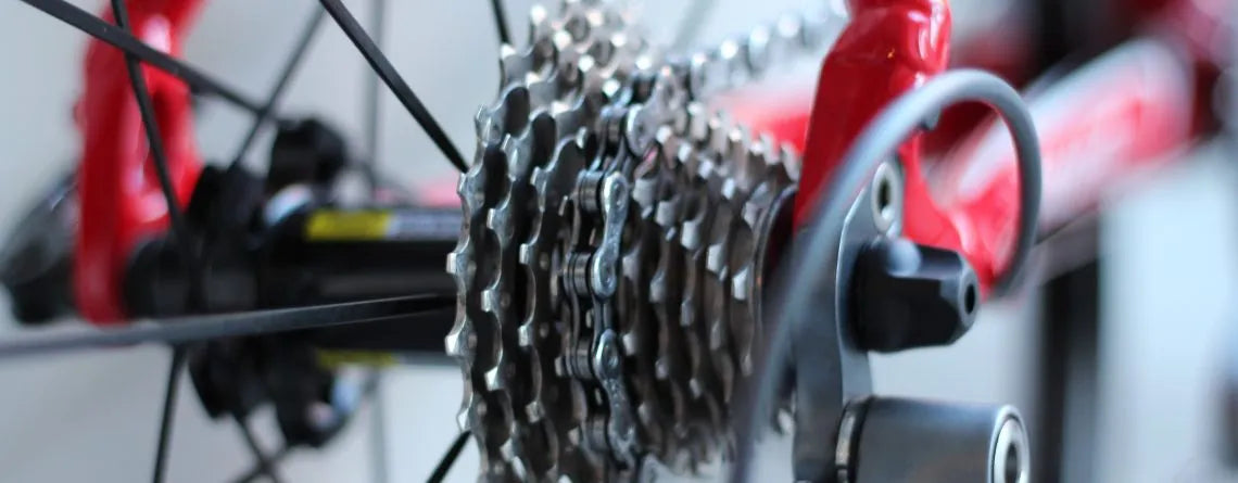 Manutenzione della bicicletta.